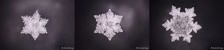 Drie waterkristallen gefotografeerd door het labo van Masaru Emoto na contact met Penta Power Tags — symmetrische hexagonale structuren