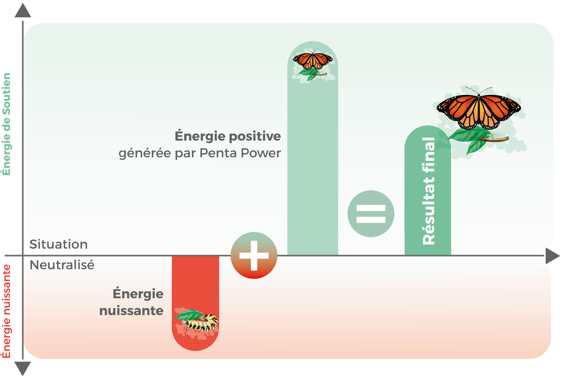 Les Penta Power Tags transforment le rayonnement en énergie de soutien